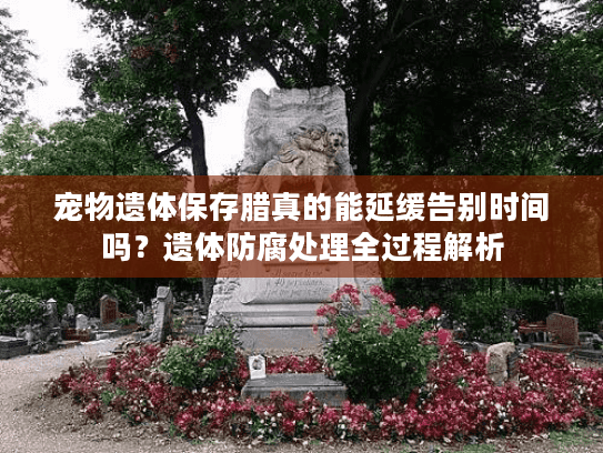宠物遗体保存腊真的能延缓告别时间吗？遗体防腐处理全过程解析