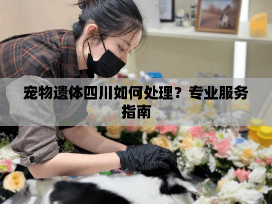 宠物遗体四川如何处理?专业服务指南 宠物遗体四川如何处理?专业服务指南