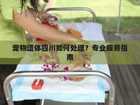 宠物遗体四川如何处理?专业服务指南 宠物遗体四川如何处理?专业服务指南