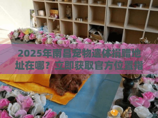 2025年南昌宠物遗体捐赠地址在哪？立即获取官方位置指南