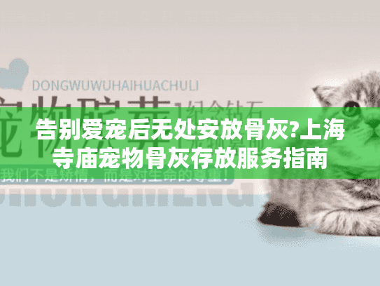 告别爱宠后无处安放骨灰?上海寺庙宠物骨灰存放服务指南
