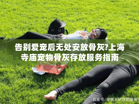 告别爱宠后无处安放骨灰?上海寺庙宠物骨灰存放服务指南
