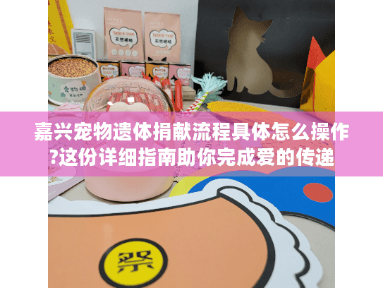 嘉兴宠物遗体捐献流程具体怎么操作?这份详细指南助你完成爱的传递