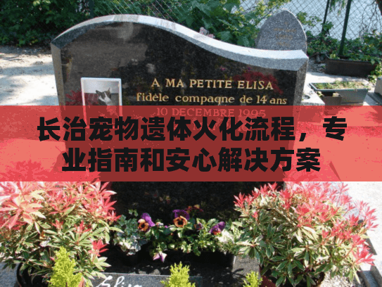 长治宠物遗体火化流程，专业指南和安心解决方案