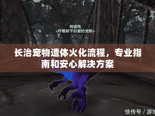 长治宠物遗体火化流程，专业指南和安心解决方案