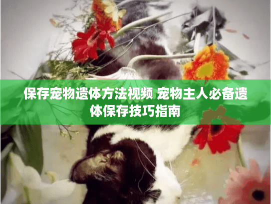 保存宠物遗体方法视频 宠物主人必备遗体保存技巧指南