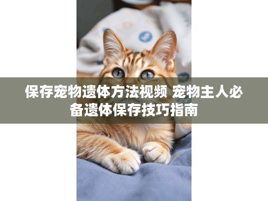 保存宠物遗体方法视频 宠物主人必备遗体保存技巧指南