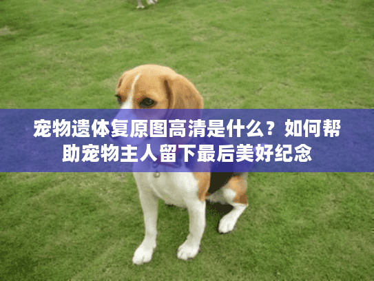 宠物遗体复原图高清是什么？如何帮助宠物主人留下最后美好纪念