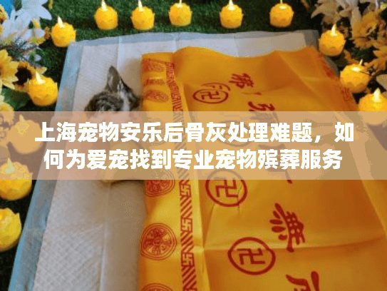 上海宠物安乐后骨灰处理难题，如何为爱宠找到专业宠物殡葬服务