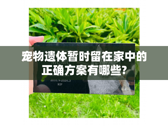 宠物遗体暂时留在家中的正确方案有哪些?
