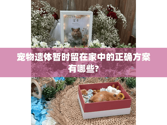 宠物遗体暂时留在家中的正确方案有哪些?