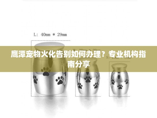 鹰潭宠物火化告别如何办理？专业机构指南分享