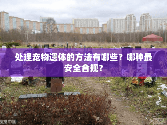 处理宠物遗体的方法有哪些？哪种最安全合规？