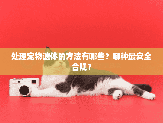 处理宠物遗体的方法有哪些？哪种最安全合规？