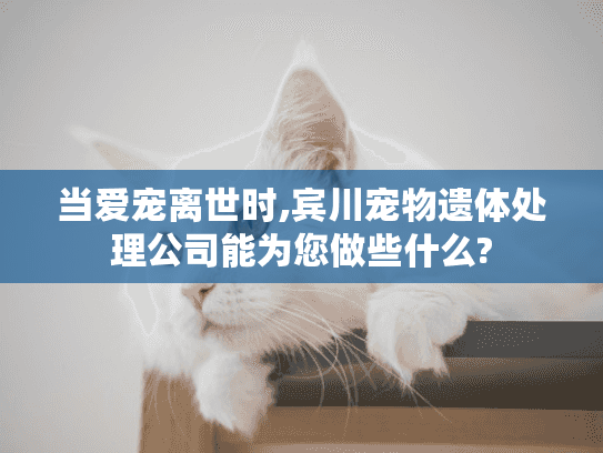 当爱宠离世时,宾川宠物遗体处理公司能为您做些什么?