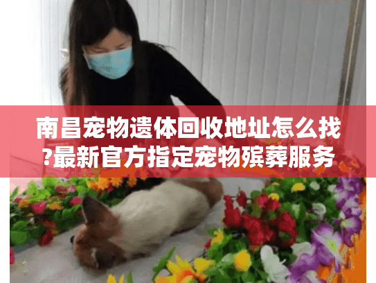 南昌宠物遗体回收地址怎么找?最新官方指定宠物殡葬服务点整理