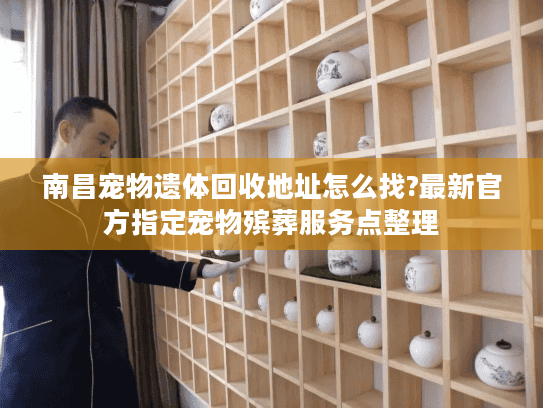 南昌宠物遗体回收地址怎么找?最新官方指定宠物殡葬服务点整理