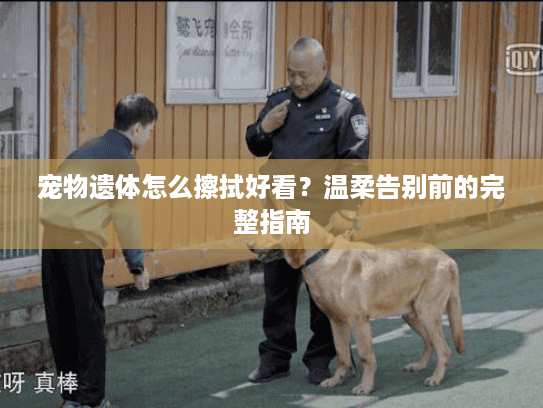 宠物遗体怎么擦拭好看？温柔告别前的完整指南