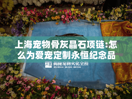 上海宠物骨灰晶石项链:怎么为爱宠定制永恒纪念品?