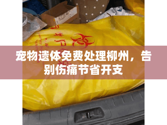 宠物遗体免费处理柳州，告别伤痛节省开支