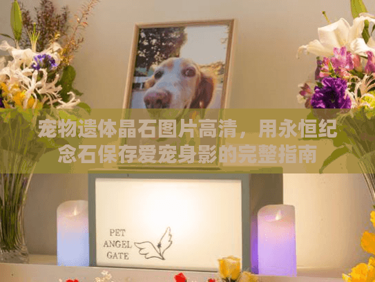 宠物遗体晶石图片高清，用永恒纪念石保存爱宠身影的完整指南