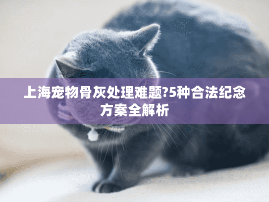 上海宠物骨灰处理难题?5种合法纪念方案全解析