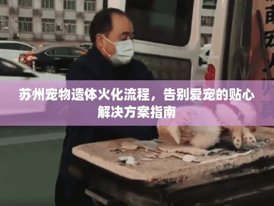 苏州宠物遗体火化流程，告别爱宠的贴心解决方案指南