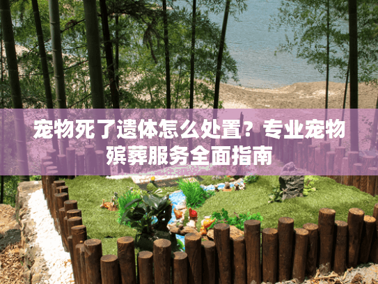 宠物死了遗体怎么处置？专业宠物殡葬服务全面指南