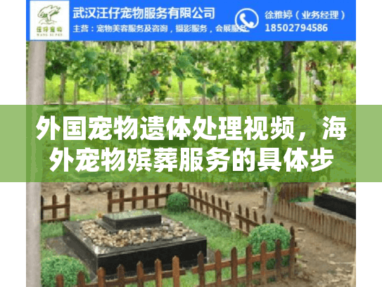 外国宠物遗体处理视频，海外宠物殡葬服务的具体步骤有哪些？