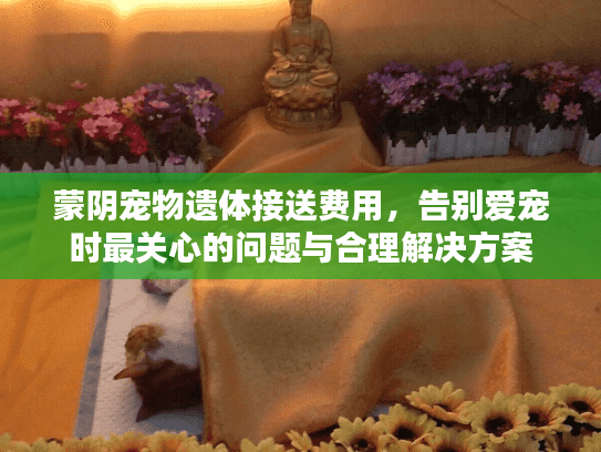 蒙阴宠物遗体接送费用，告别爱宠时最关心的问题与合理解决方案