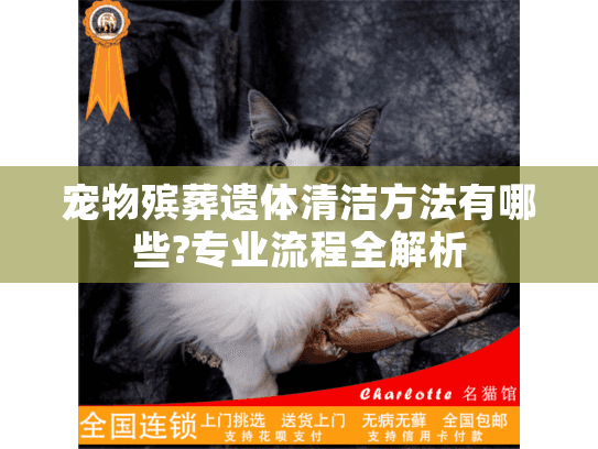 宠物殡葬遗体清洁方法有哪些?专业流程全解析