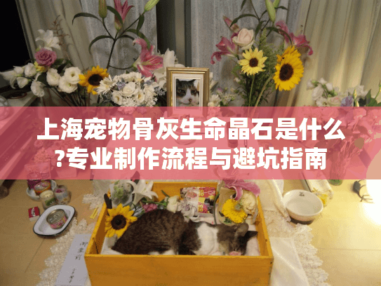 上海宠物骨灰生命晶石是什么?专业制作流程与避坑指南