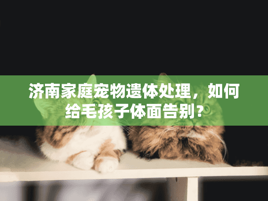 济南家庭宠物遗体处理，如何给毛孩子体面告别？