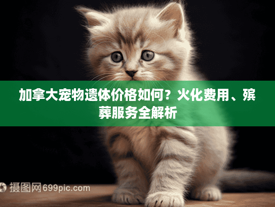 加拿大宠物遗体价格如何？火化费用、殡葬服务全解析