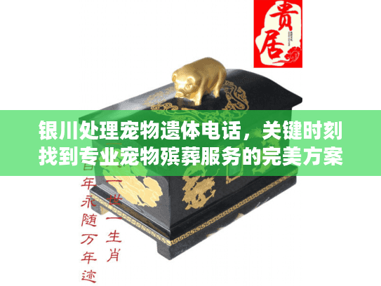银川处理宠物遗体电话，关键时刻找到专业宠物殡葬服务的完美方案