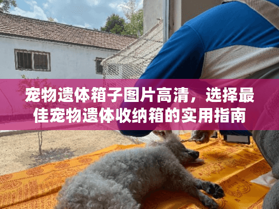宠物遗体箱子图片高清，选择最佳宠物遗体收纳箱的实用指南
