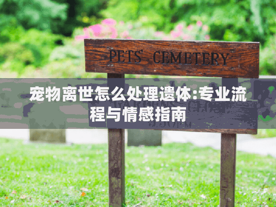 宠物离世怎么处理遗体:专业流程与情感指南