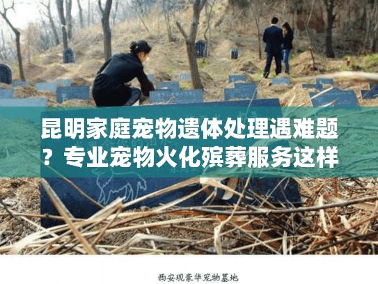昆明家庭宠物遗体处理遇难题？专业宠物火化殡葬服务这样温暖送别