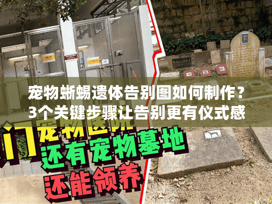 宠物蜥蜴遗体告别图如何制作？3个关键步骤让告别更有仪式感