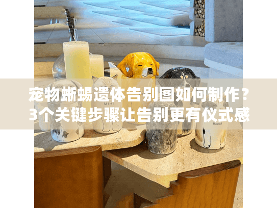 宠物蜥蜴遗体告别图如何制作？3个关键步骤让告别更有仪式感