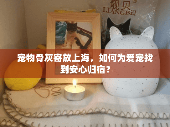 宠物骨灰寄放上海，如何为爱宠找到安心归宿？
