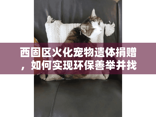 西固区火化宠物遗体捐赠，如何实现环保善举并找到可靠服务？