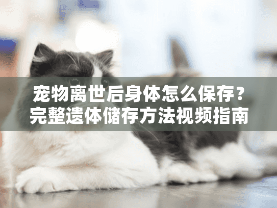 宠物离世后身体怎么保存？完整遗体储存方法视频指南