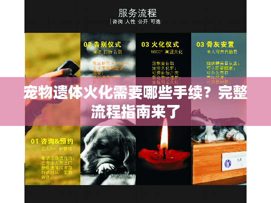 宠物遗体火化需要哪些手续？完整流程指南来了