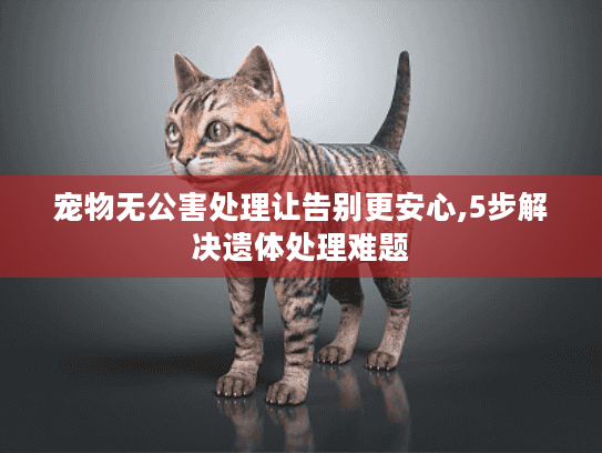 宠物无公害处理让告别更安心,5步解决遗体处理难题