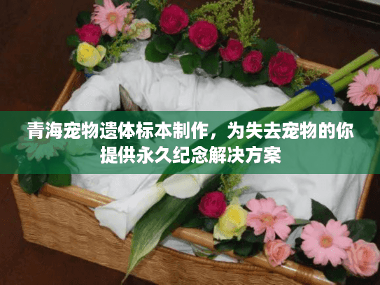 青海宠物遗体标本制作，为失去宠物的你提供永久纪念解决方案