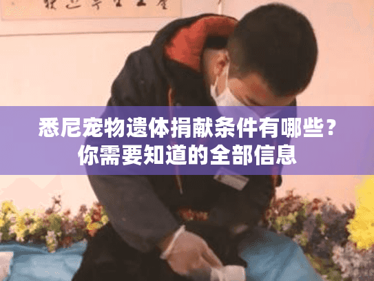 悉尼宠物遗体捐献条件有哪些？你需要知道的全部信息