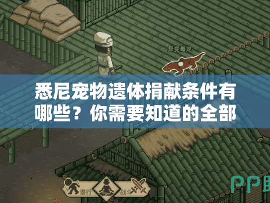悉尼宠物遗体捐献条件有哪些？你需要知道的全部信息