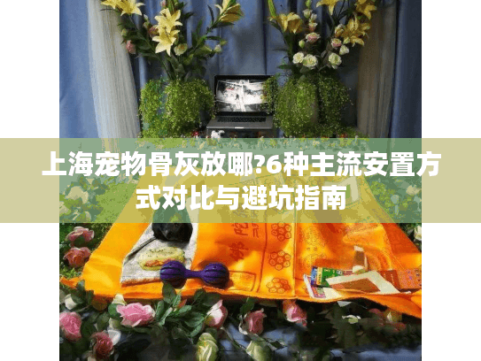 上海宠物骨灰放哪?6种主流安置方式对比与避坑指南
