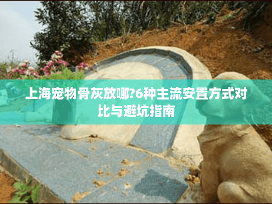 上海宠物骨灰放哪?6种主流安置方式对比与避坑指南